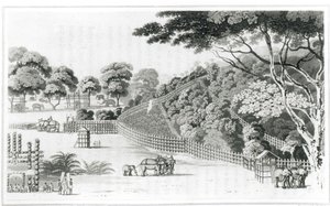 Elephant Snare at Kotawy, volume I from 